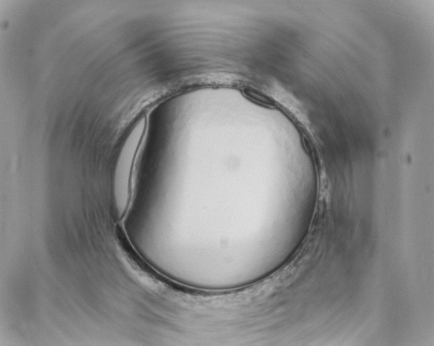 X0000088020013200706011336