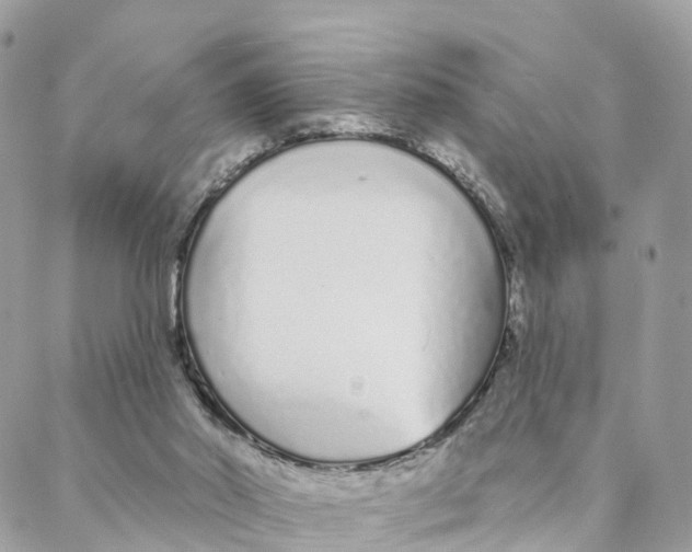 X0000088020014200706011336