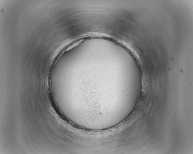 X0000088020015200706011336