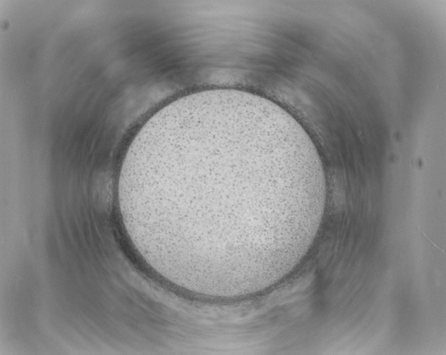 X0000088020016200706011336