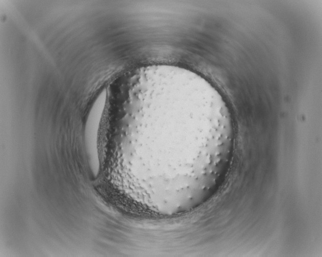 X0000088020017200706011336