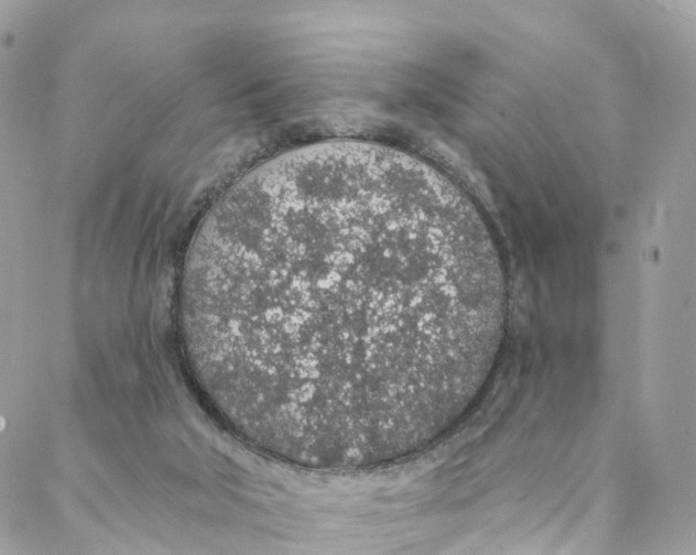 X0000088020018200706011336