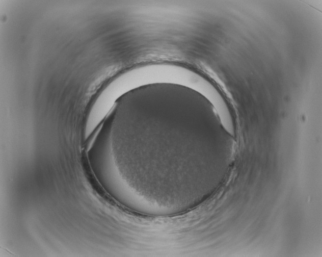 X0000088020019200706011336