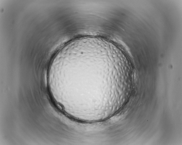 X0000088020020200706011336