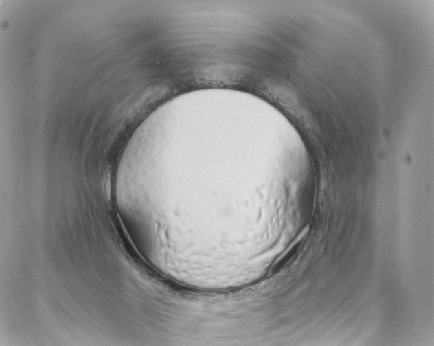 X0000088020021200706011336