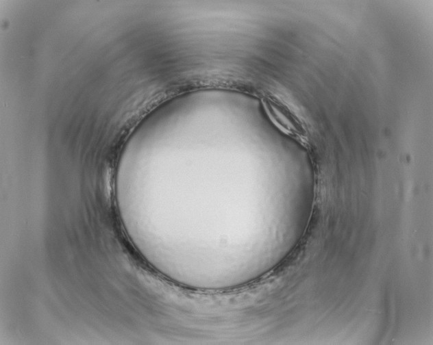 X0000088020022200706011336