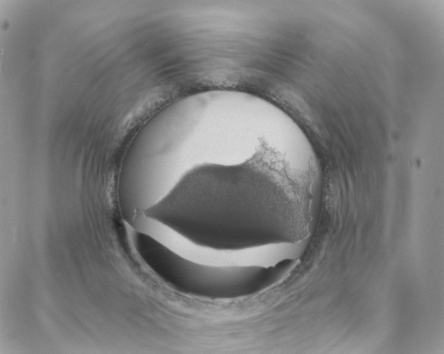 X0000088020023200706011336