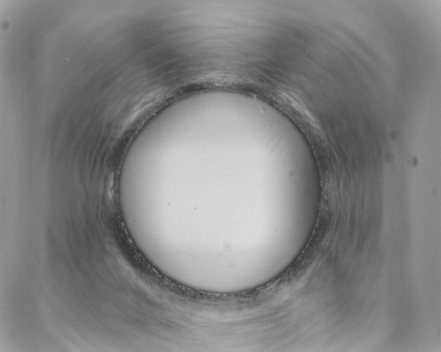 X0000088020024200706011336