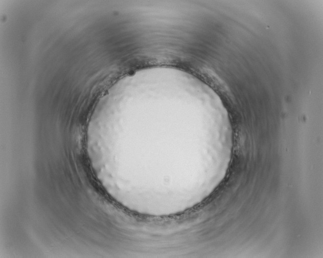 X0000088020026200706011336