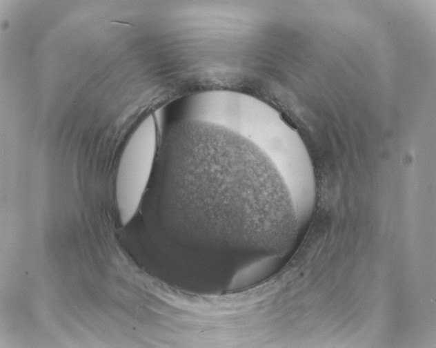 X0000088020027200706011336