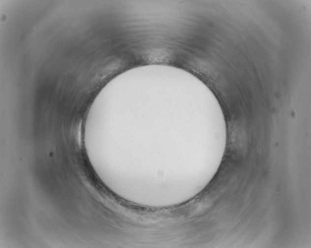 X0000088020028200706011336