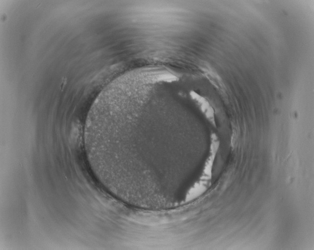 X0000088020029200706011336