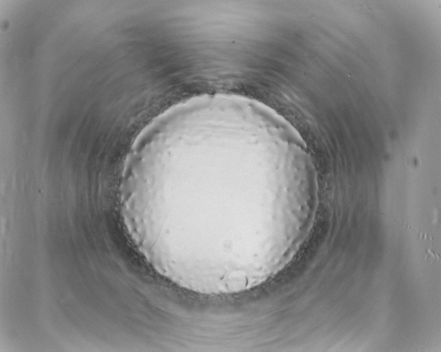 X0000088020030200706011336