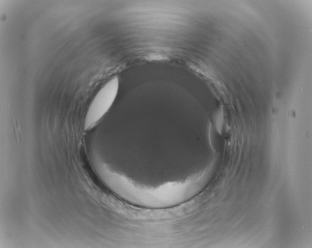 X0000088020031200706011336