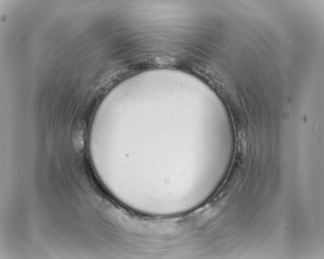 X0000088020032200706011336