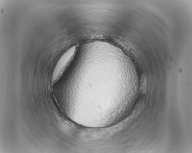 X0000088020033200706011336