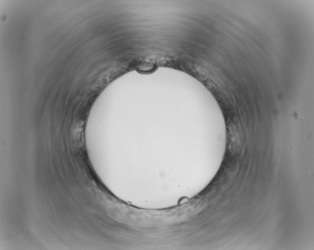 X0000088020034200706011336