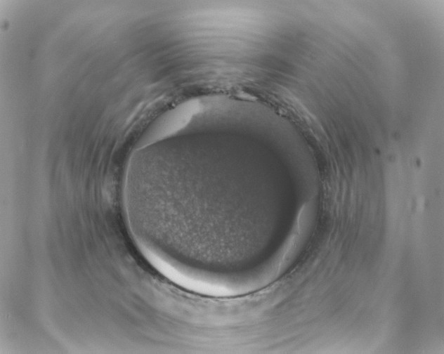 X0000088020035200706011336