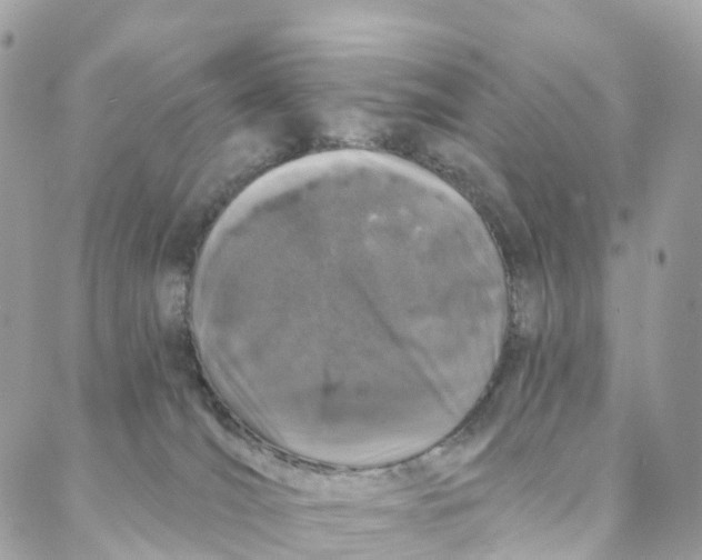 X0000088020036200706011335