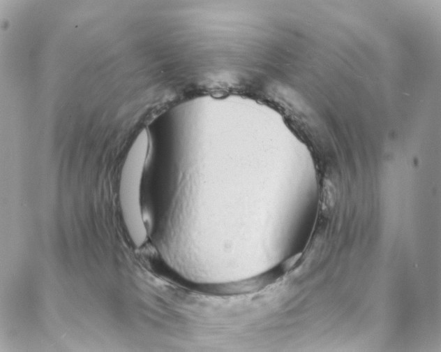 X0000088020037200706011335