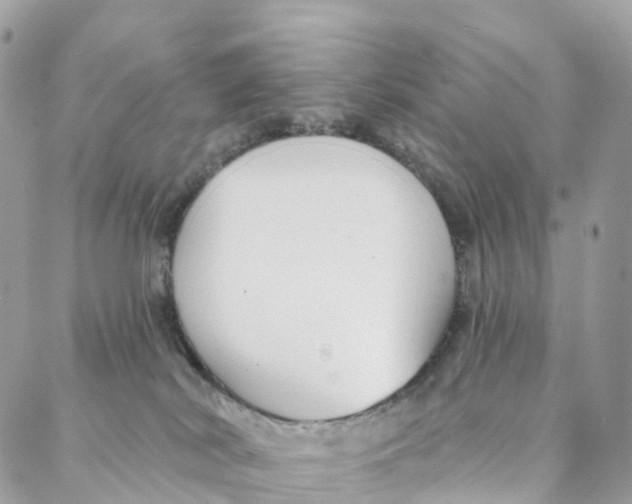 X0000088020038200706011335