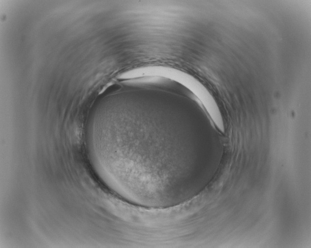 X0000088020039200706011335