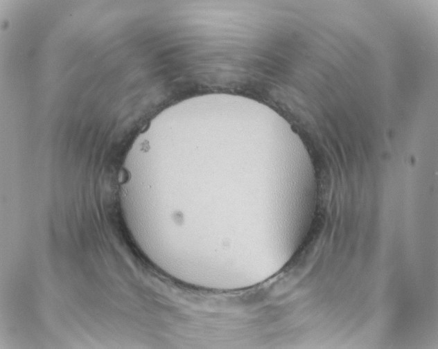 X0000088020040200706011335