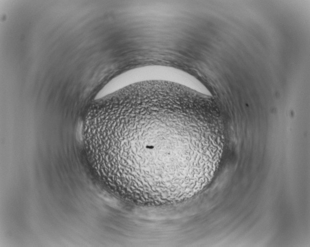 X0000088020041200706011335