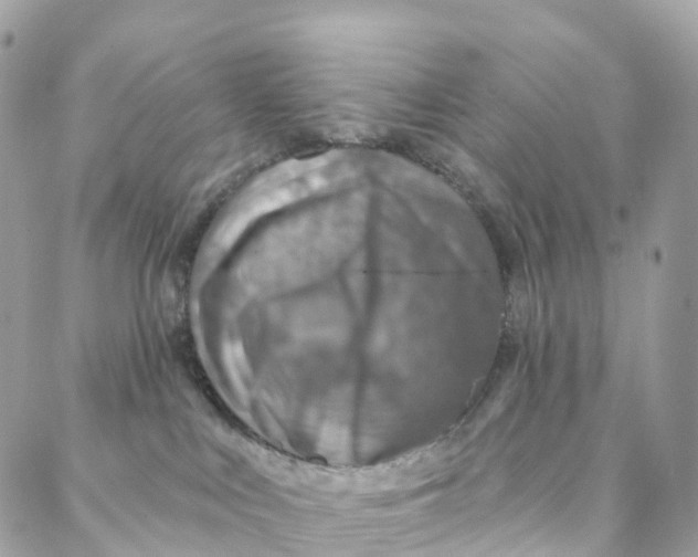 X0000088020043200706011335