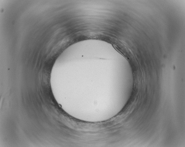 X0000088020044200706011335