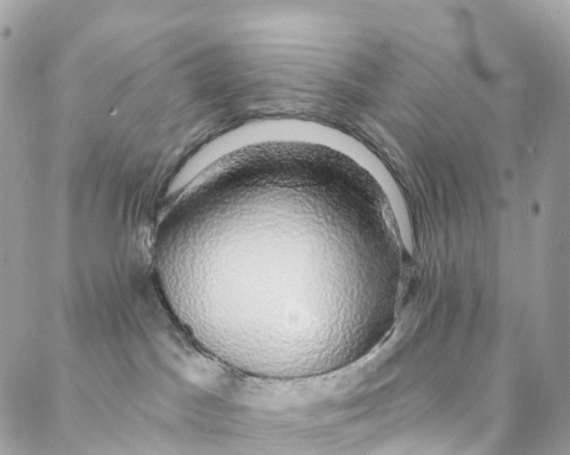 X0000088020045200706011335