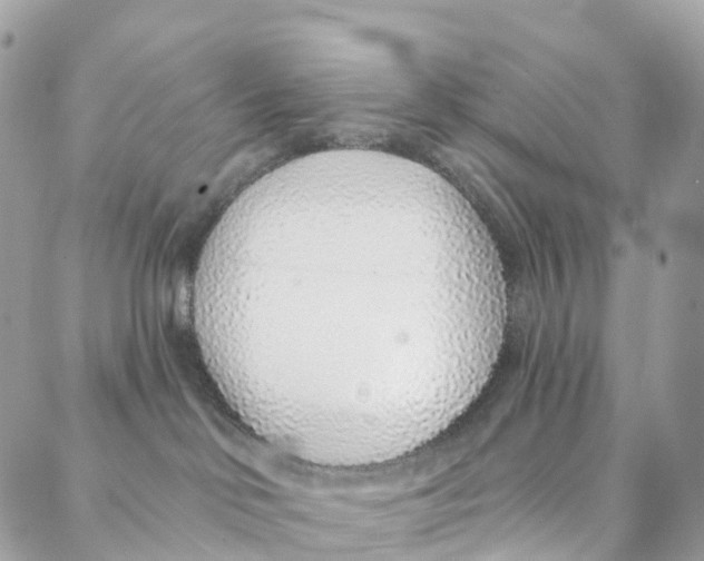 X0000088020046200706011335