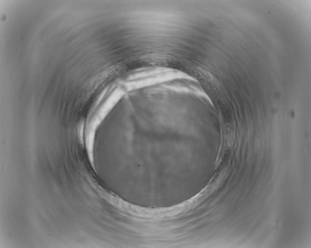 X0000088020047200706011335