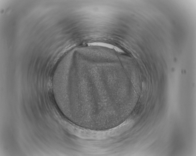 X0000088020048200706011335