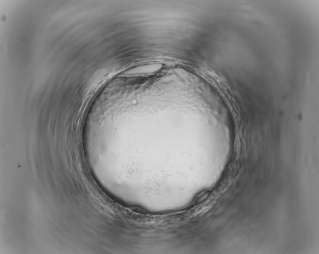 X0000088020049200706011335