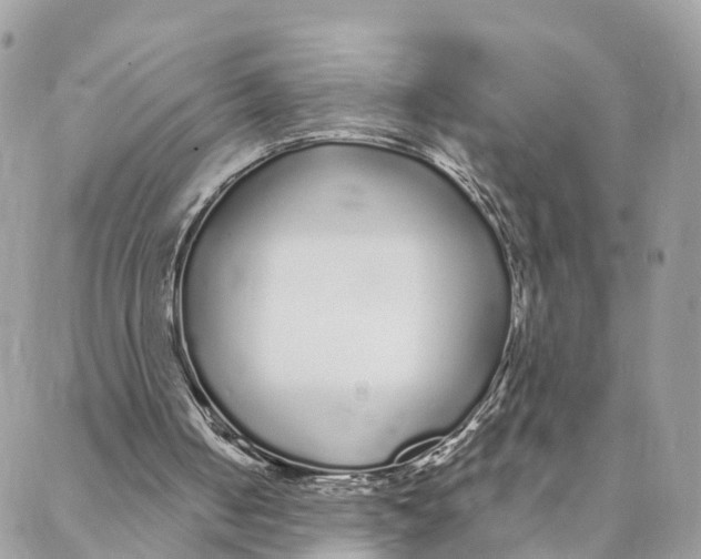 X0000088020050200706011335