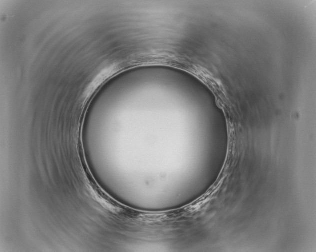 X0000088020051200706011335