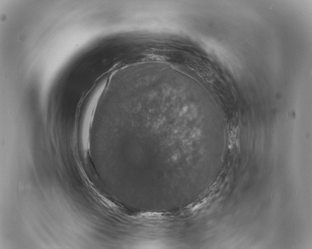 X0000088020052200706011335