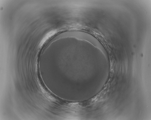 X0000088020054200706011335