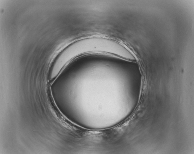 X0000088020055200706011335