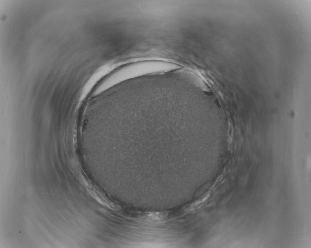 X0000088020056200706011335