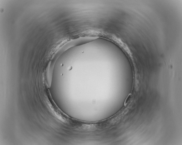 X0000088020057200706011335