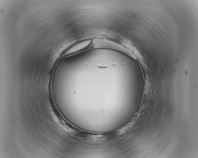 X0000088020058200706011335