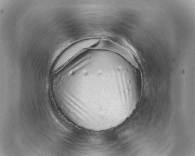 X0000088020059200706011335