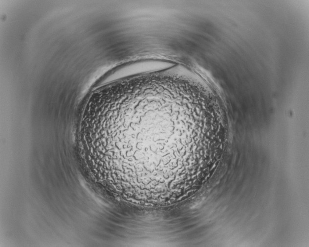 X0000088020060200706011335