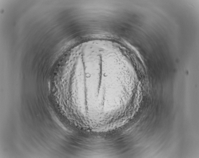 X0000088020061200706011335