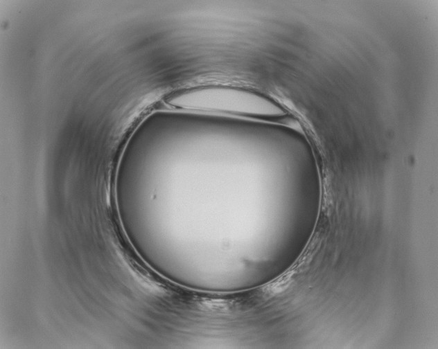 X0000088020062200706011335