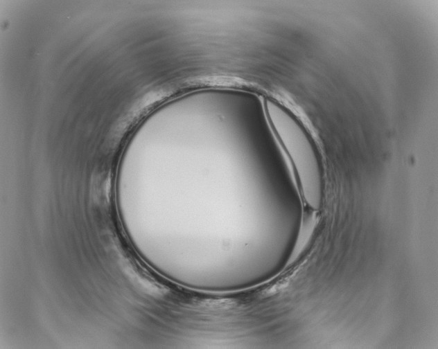 X0000088020063200706011335