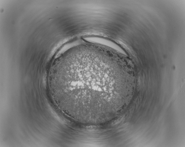 X0000088020064200706011335