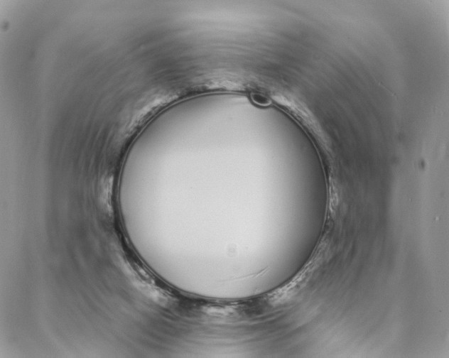 X0000088020066200706011335